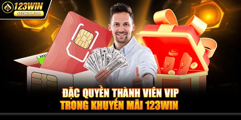 Đặc quyền thành viên VIP trong Khuyến mãi 123win